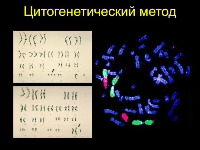 Цитогенетический метод