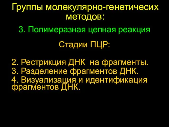 Стадии ПЦР: 2. Рестрикция ДНК на фрагменты. 3. Разделение фрагментов ДНК. 4.