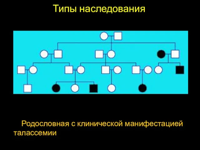 Типы наследования Родословная с клинической манифестацией талассемии