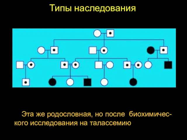 Типы наследования Эта же родословная, но после биохимичес-кого исследования на талассемию