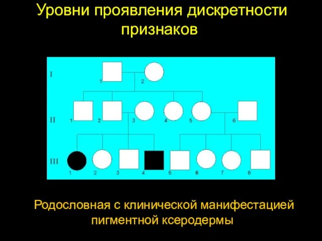 Уровни проявления дискретности признаков Родословная с клинической манифестацией пигментной ксеродермы