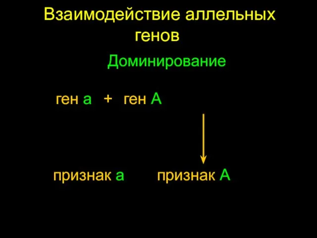 Взаимодействие аллельных генов Доминирование ген a + ген A признак a признак A