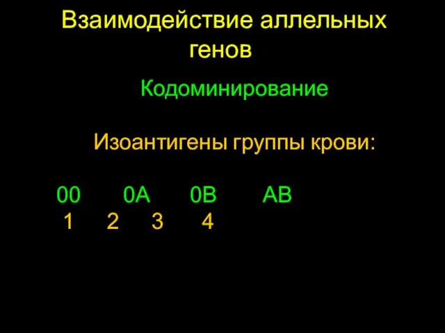 Взаимодействие аллельных генов Кодоминирование Изоантигены группы крови: 00 0А 0В АВ 1 2 3 4