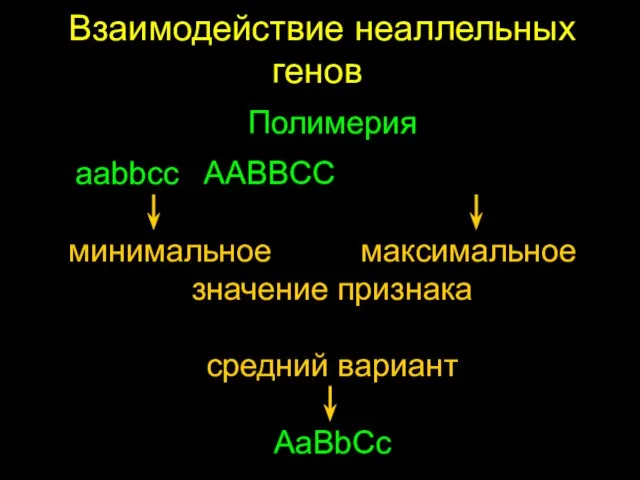Взаимодействие неаллельных генов Полимерия aabbcc AABBCC минимальное максимальное значение признака средний вариант AaBbCc