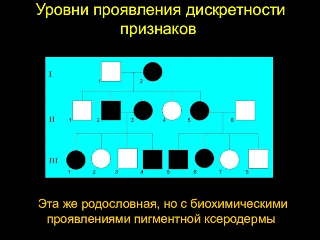 Уровни проявления дискретности признаков Эта же родословная, но с биохимическими проявлениями пигментной ксеродермы