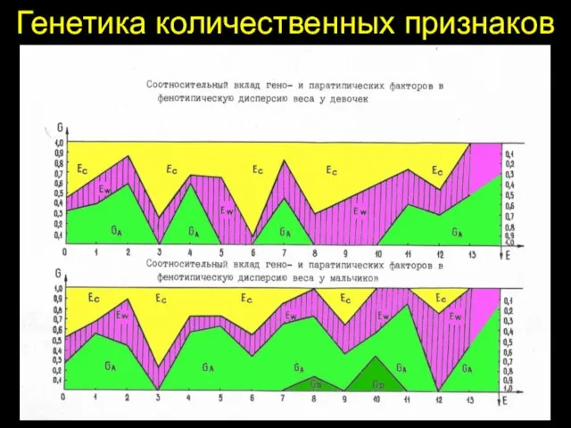 Генетика количественных признаков