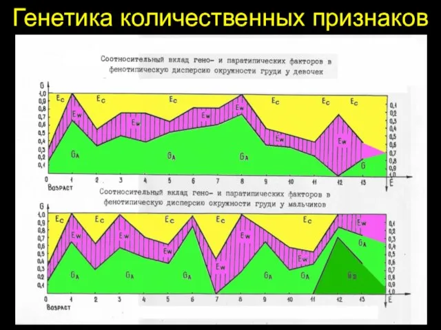 Генетика количественных признаков