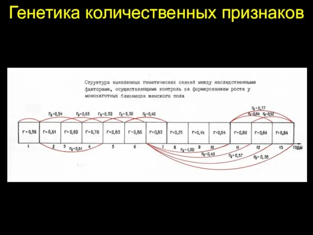 Генетика количественных признаков