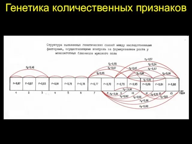 Генетика количественных признаков