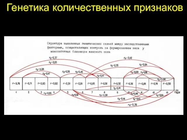 Генетика количественных признаков