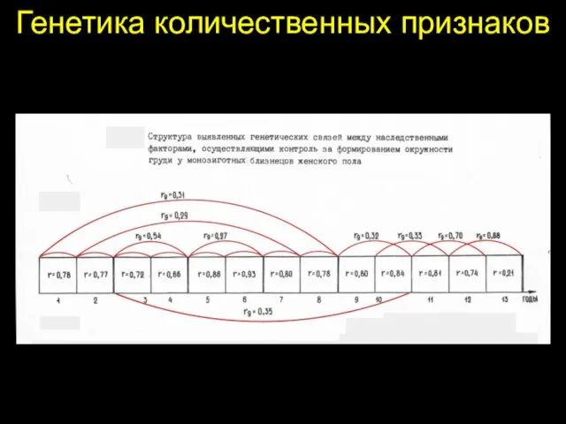 Генетика количественных признаков