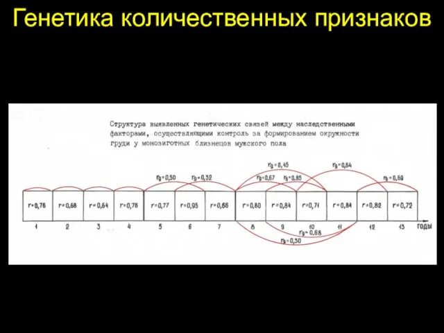 Генетика количественных признаков