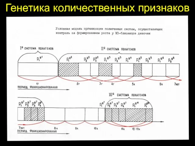 Генетика количественных признаков