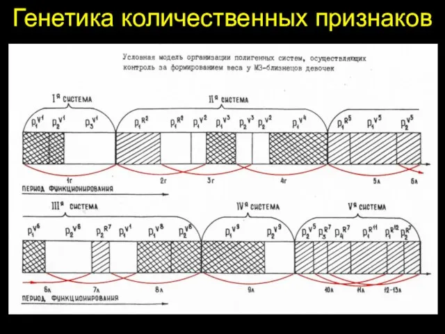 Генетика количественных признаков