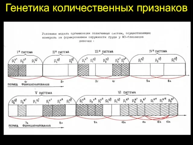 Генетика количественных признаков