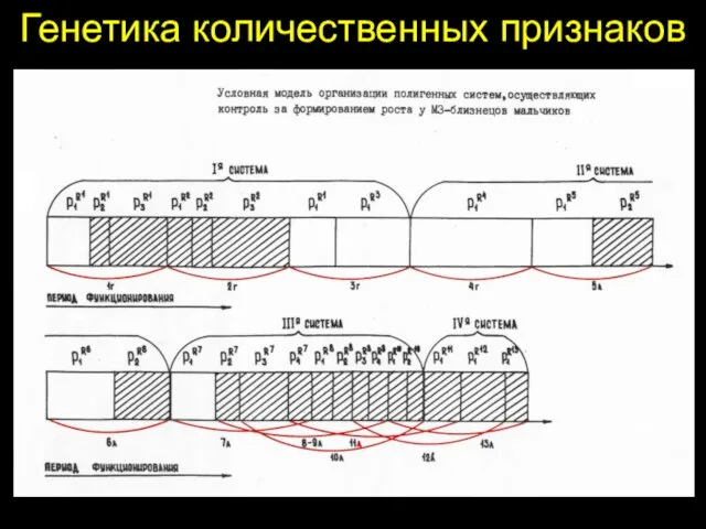 Генетика количественных признаков