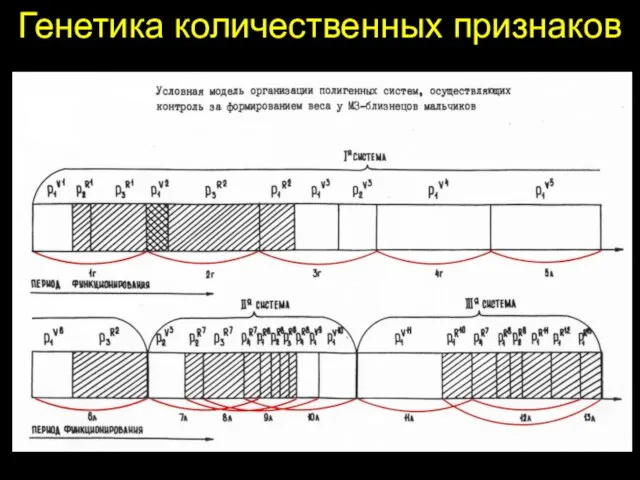 Генетика количественных признаков