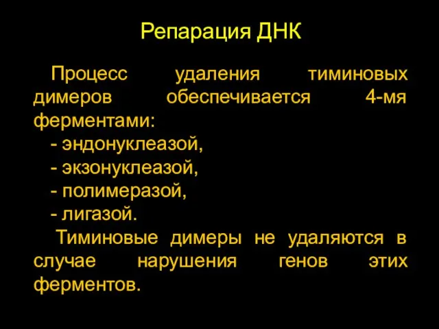 Репарация ДНК Процесс удаления тиминовых димеров обеспечивается 4-мя ферментами: - эндонуклеазой, -