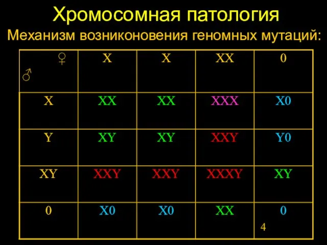 Хромосомная патология Механизм возниконовения геномных мутаций: