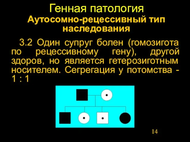 Генная патология Аутосомно-рецессивный тип наследования 3.2 Один супруг болен (гомозигота по рецессивному