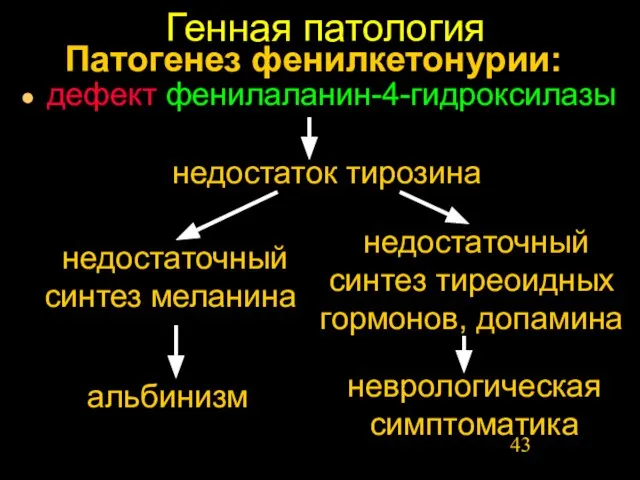 Генная патология дефект фенилаланин-4-гидроксилазы альбинизм недостаточный синтез меланина недостаток тирозина недостаточный синтез