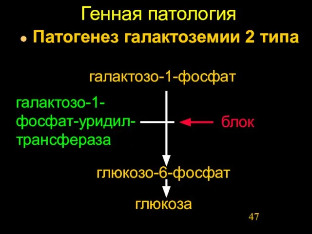 Генная патология Патогенез галактоземии 2 типа блок глюкозо-6-фосфат галактозо-1-фосфат-уридил-трансфераза галактозо-1-фосфат глюкоза