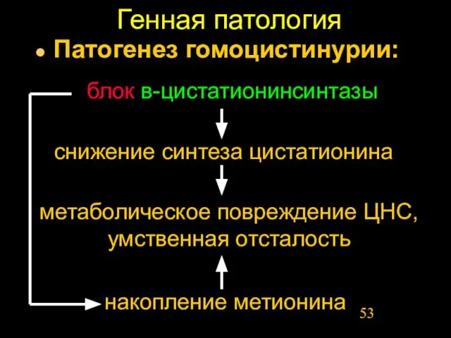 Генная патология Патогенез гомоцистинурии: блок в-цистатионинсинтазы снижение синтеза цистатионина метаболическое повреждение ЦНС, умственная отсталость накопление метионина