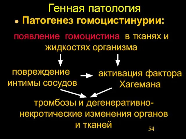 Генная патология Патогенез гомоцистинурии: появление гомоцистина в тканях и жидкостях организма повреждение