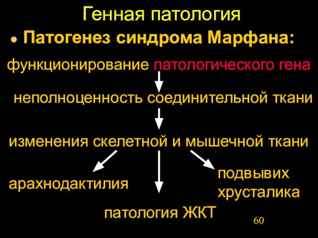 Генная патология Патогенез синдрома Марфана: неполноценность соединительной ткани функционирование патологического гена изменения