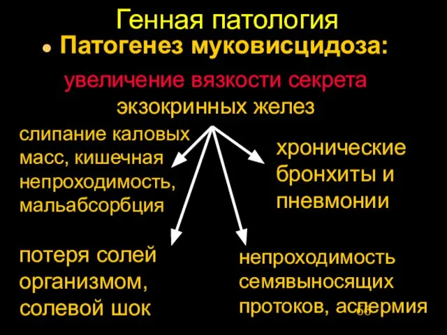 Генная патология Патогенез муковисцидоза: увеличение вязкости секрета экзокринных желез слипание каловых масс,