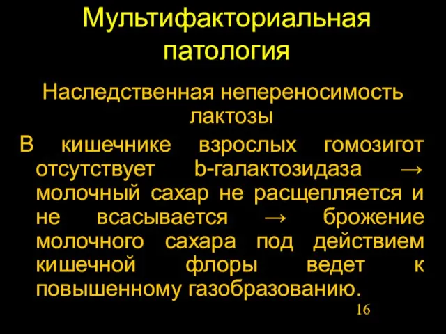 Мультифакториальная патология Наследственная непереносимость лактозы В кишечнике взрослых гомозигот отсутствует b-галактозидаза →