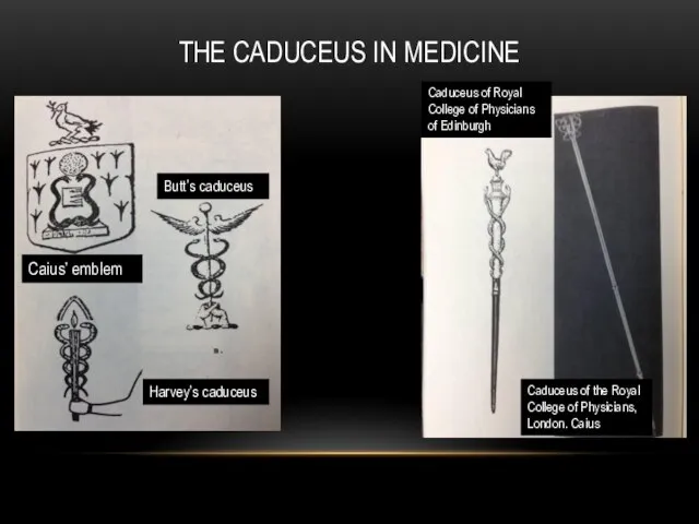 THE CADUCEUS IN MEDICINE Caius’ emblem Butt’s caduceus Harvey’s caduceus Caduceus of