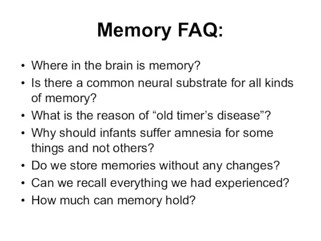 Memory FAQ: Where in the brain is memory? Is there a common