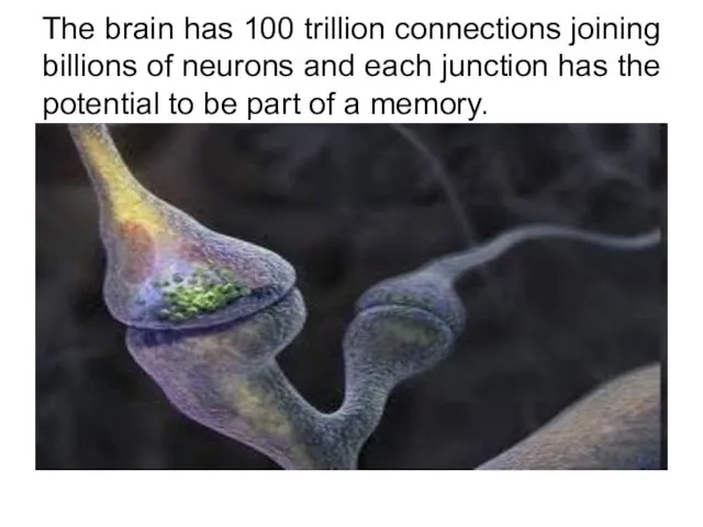 The brain has 100 trillion connections joining billions of neurons and each