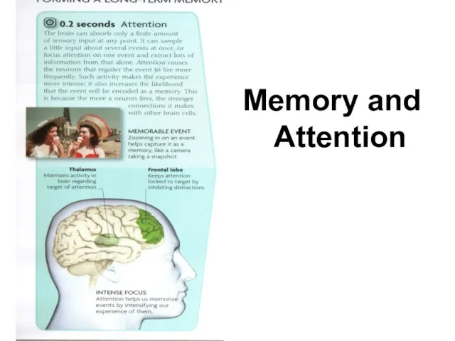 Memory and Attention