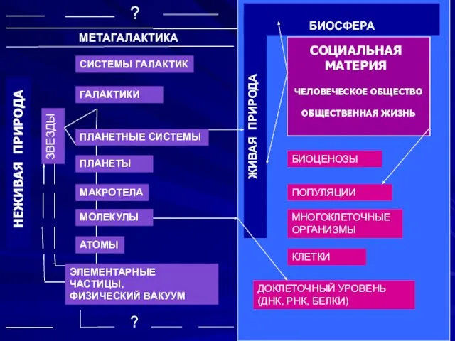 НЕЖИВАЯ ПРИРОДА ? МЕТАГАЛАКТИКА СИСТЕМЫ ГАЛАКТИК ГАЛАКТИКИ ПЛАНЕТНЫЕ СИСТЕМЫ ПЛАНЕТЫ МАКРОТЕЛА МОЛЕКУЛЫ