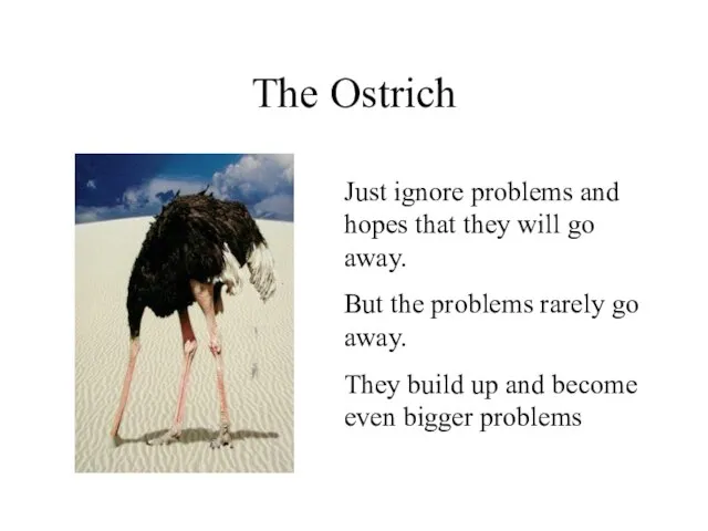 The Ostrich Just ignore problems and hopes that they will go away.