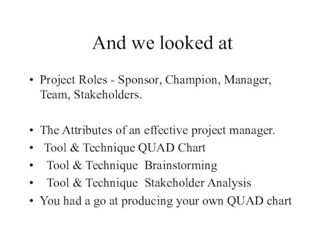 And we looked at Project Roles - Sponsor, Champion, Manager, Team, Stakeholders.