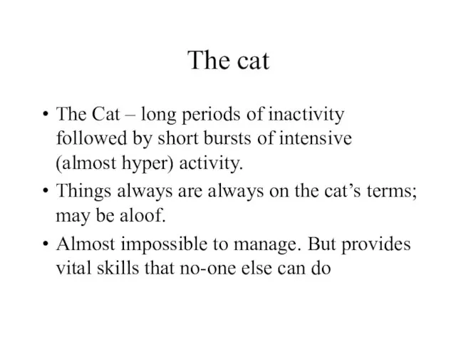 The cat The Cat – long periods of inactivity followed by short