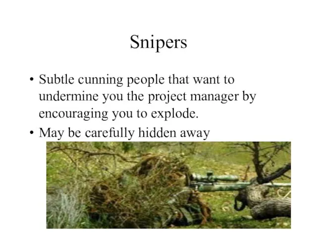 Snipers Subtle cunning people that want to undermine you the project manager