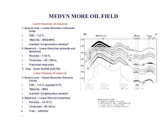 MEDYN MORE OIL FIELD Lower Devonian oil reservoir 1. Source rock –