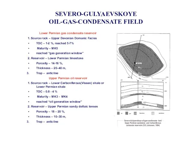 SEVERO-GULYAEVSKOYE OIL-GAS-CONDENSATE FIELD Lower Permian gas condensate reservoir 1. Source rock –