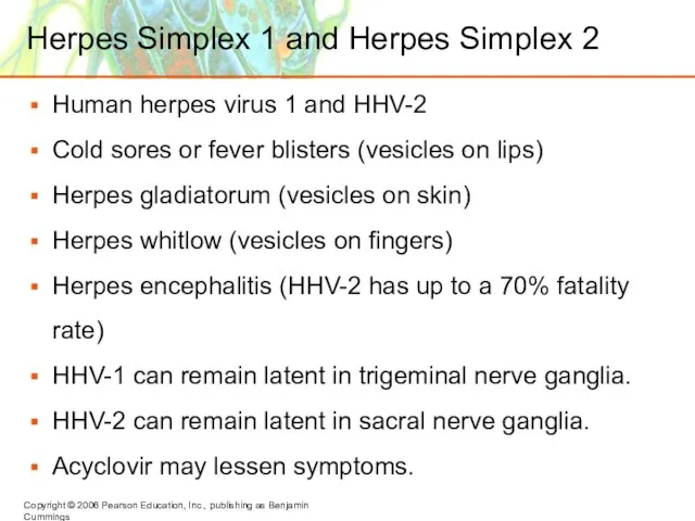 Herpes Simplex 1 and Herpes Simplex 2 Human herpes virus 1 and