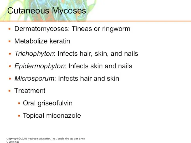 Cutaneous Mycoses Dermatomycoses: Tineas or ringworm Metabolize keratin Trichophyton: Infects hair, skin,