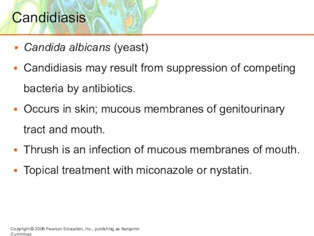 Candidiasis Candida albicans (yeast) Candidiasis may result from suppression of competing bacteria