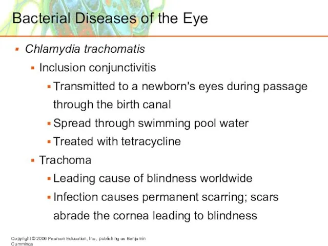 Bacterial Diseases of the Eye Chlamydia trachomatis Inclusion conjunctivitis Transmitted to a