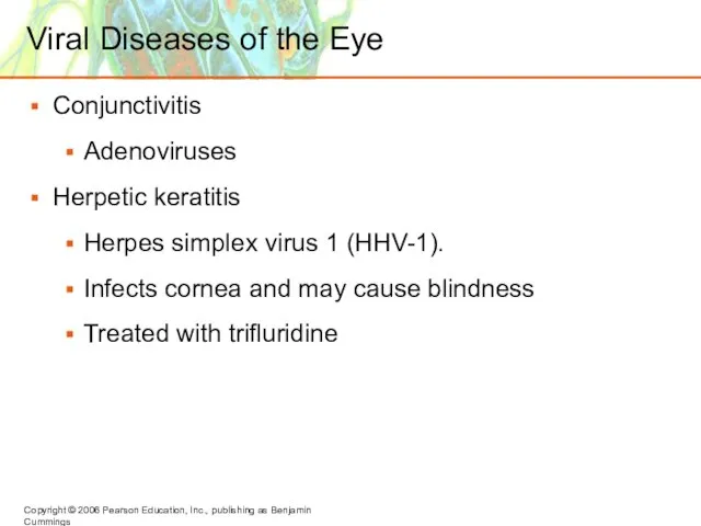 Viral Diseases of the Eye Conjunctivitis Adenoviruses Herpetic keratitis Herpes simplex virus