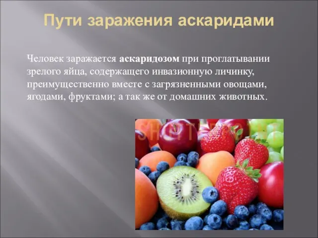 Пути заражения аскаридами Человек заражается аскаридозом при проглатывании зрелого яйца, содержащего инвазионную