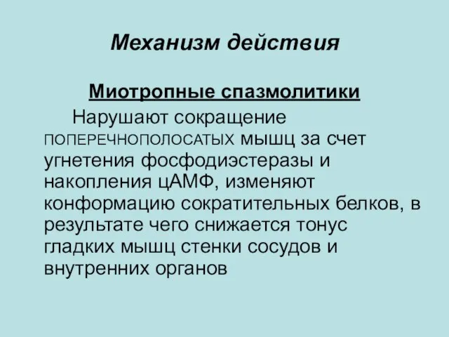 Механизм действия Миотропные спазмолитики Нарушают сокращение ПОПЕРЕЧНОПОЛОСАТЫХ мышц за счет угнетения фосфодиэстеразы