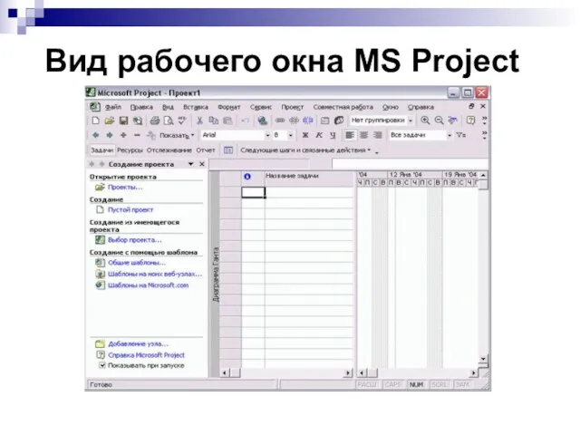 Вид рабочего окна MS Project